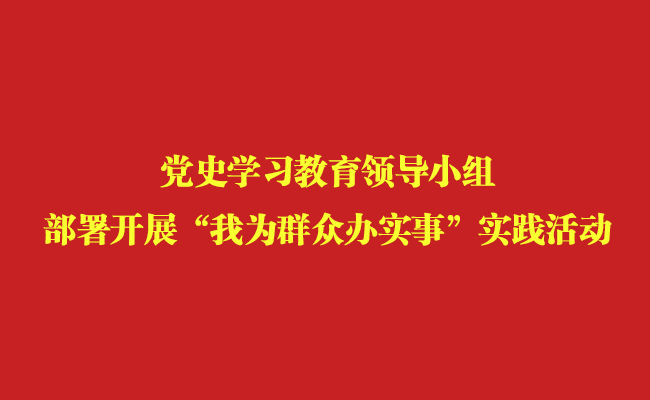 党史学习教育领导小组部署开展“我为群众办实事”实践活动